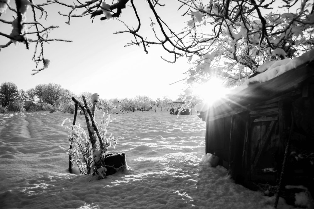 Photograph by Владимир Герасимиди