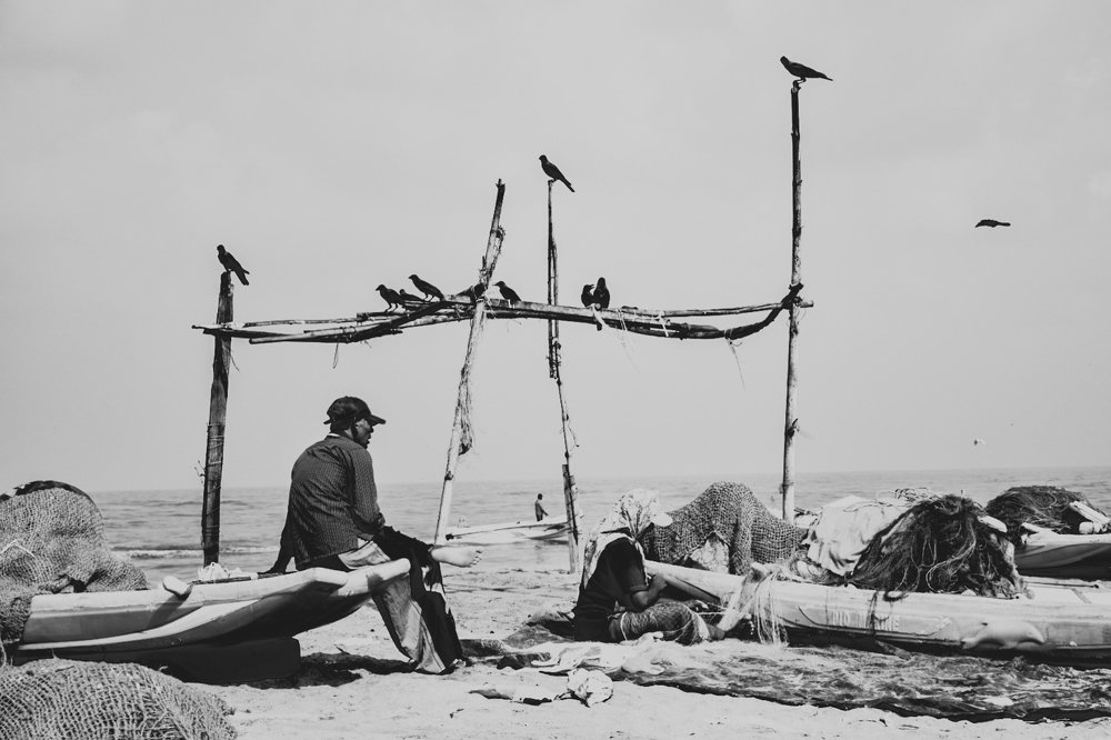 Photograph by Nipun de silva S.K.