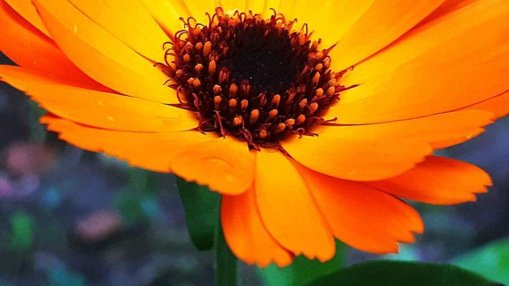 Photograph by Kristiina Soots