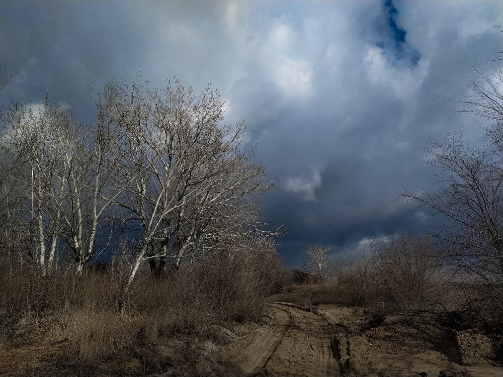 Фотография автора Наталья Алексеева
