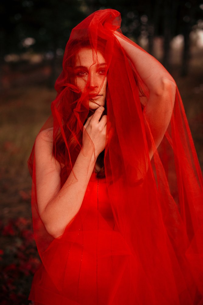 Photograph by Sergiu Rotaru