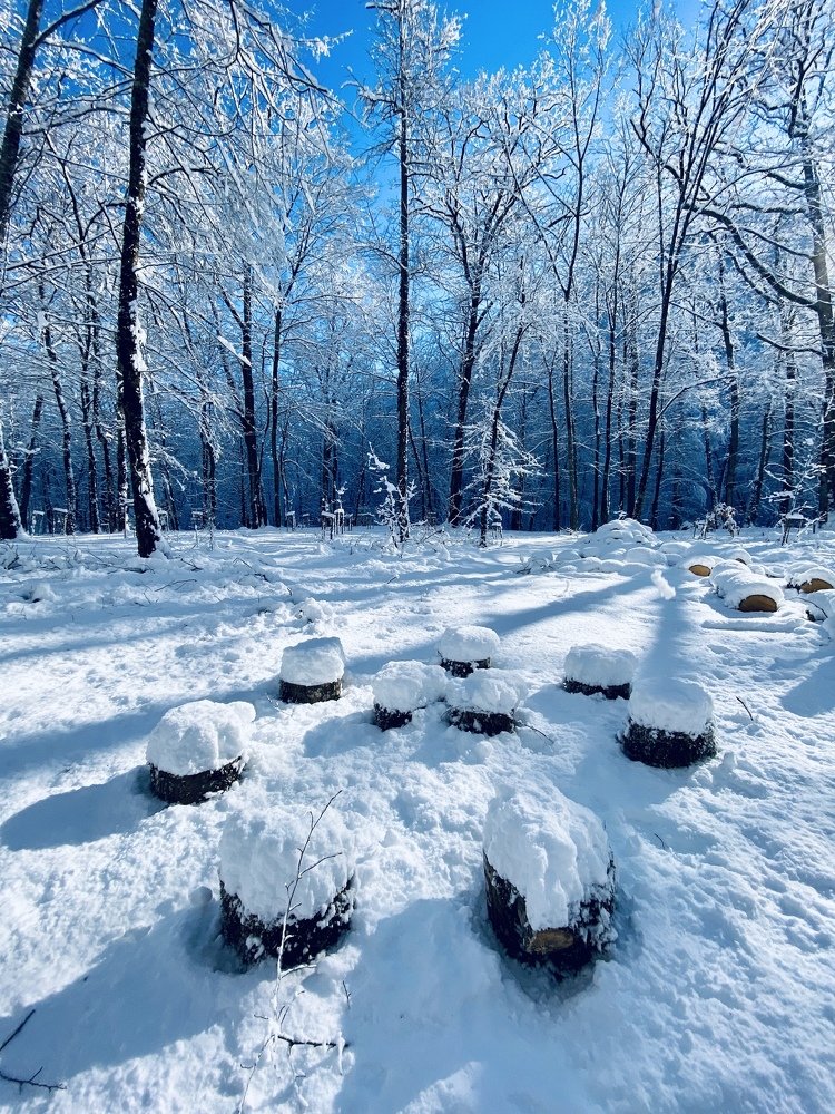 Photograph by Александр Арасланов