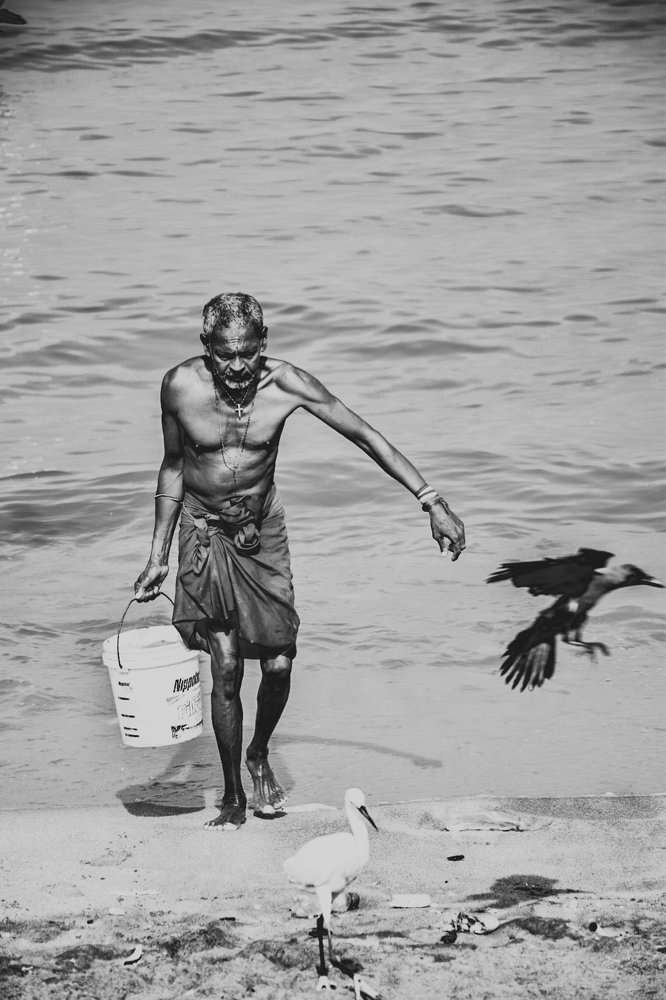 Photograph by Nipun de silva S.K.