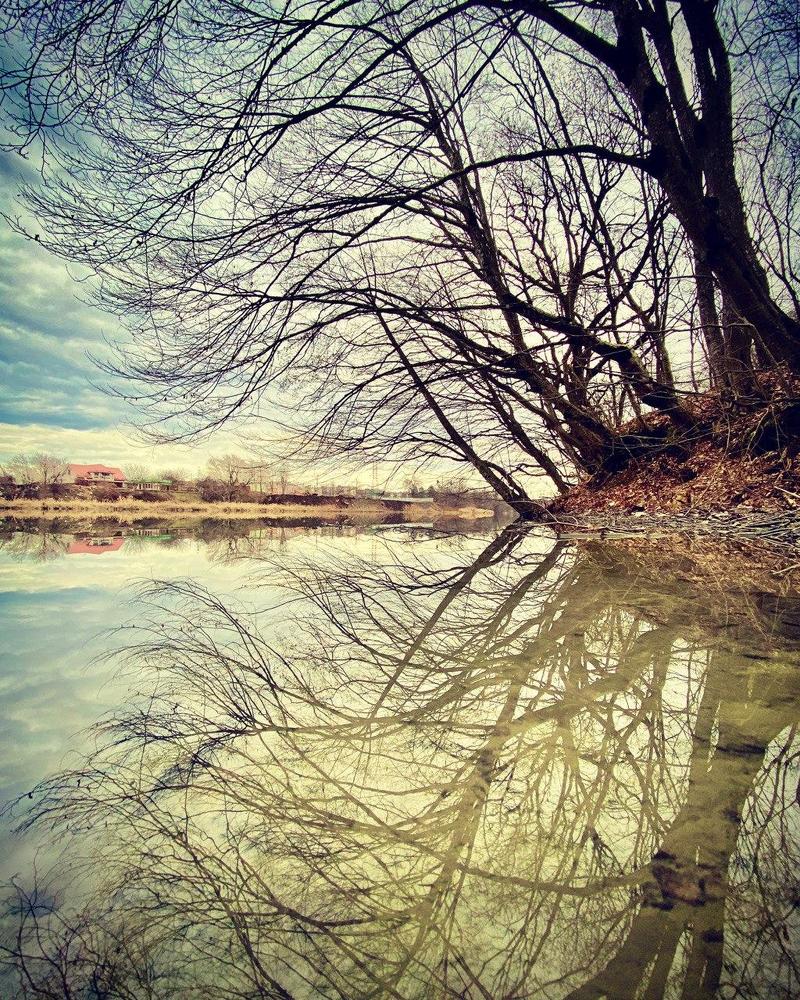 Photograph by Александр Арасланов