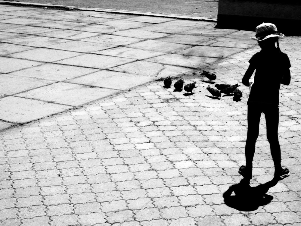 Little girl feeding the pigeons.