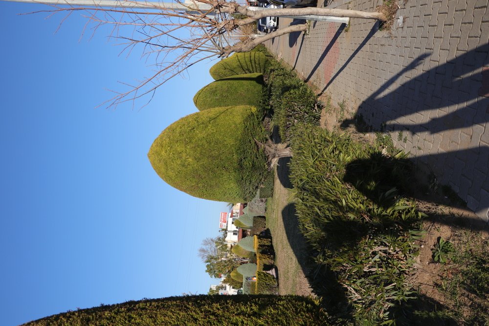 Случай. Призрачный фотограф.