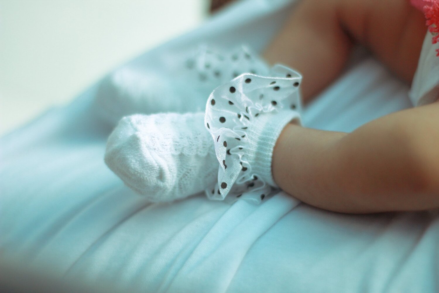 Photo #4282091