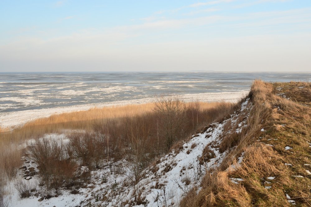 Photograph by Светлана Агапова