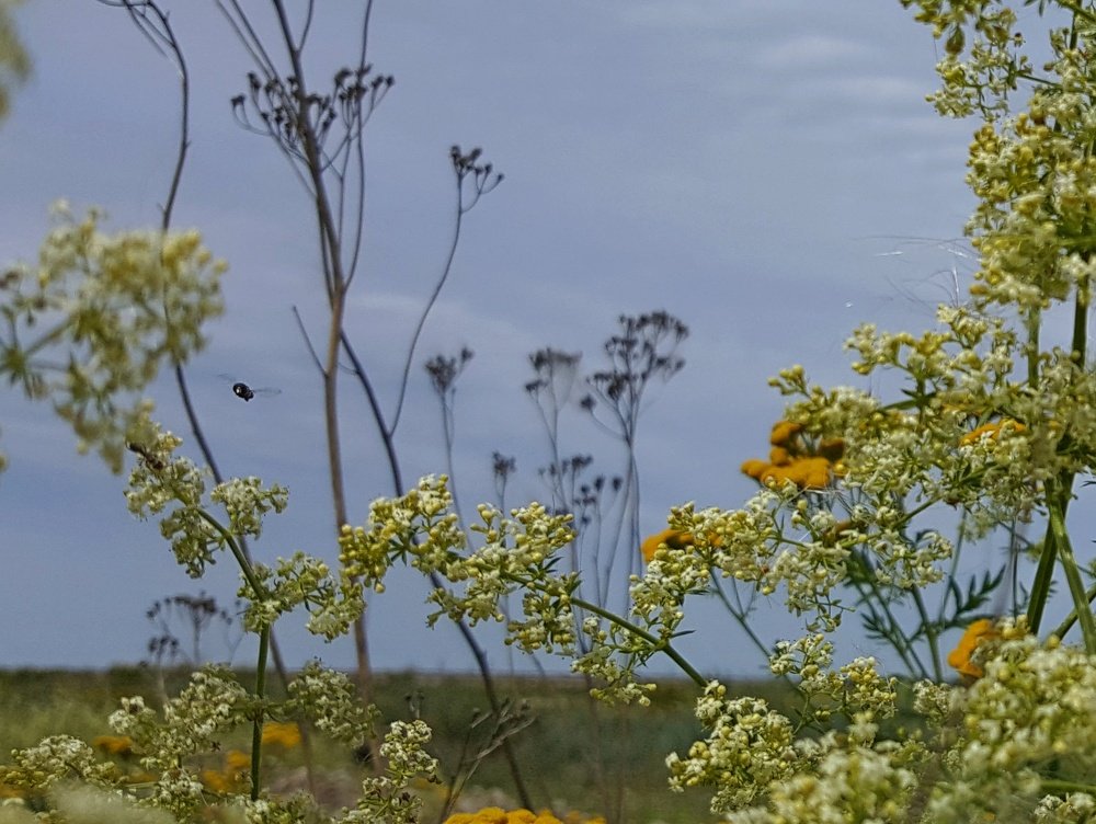 Фотография автора Igor Dyomin