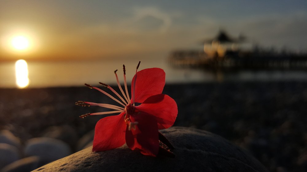 Фотография автора Igor Dyomin