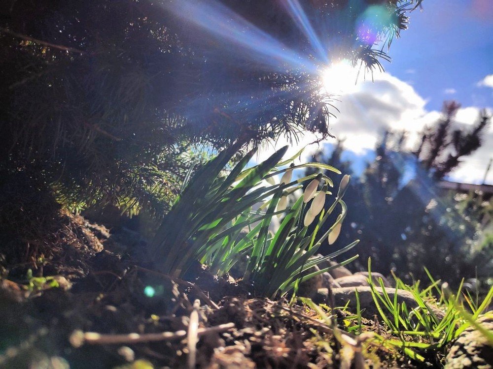 Возрождение