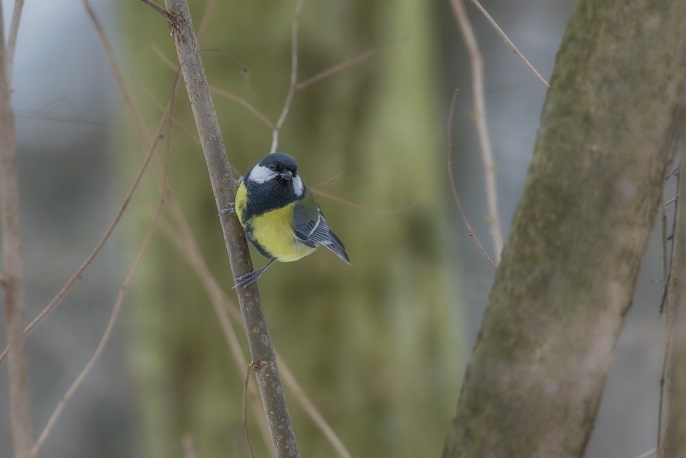 Photograph by Кунин Илья