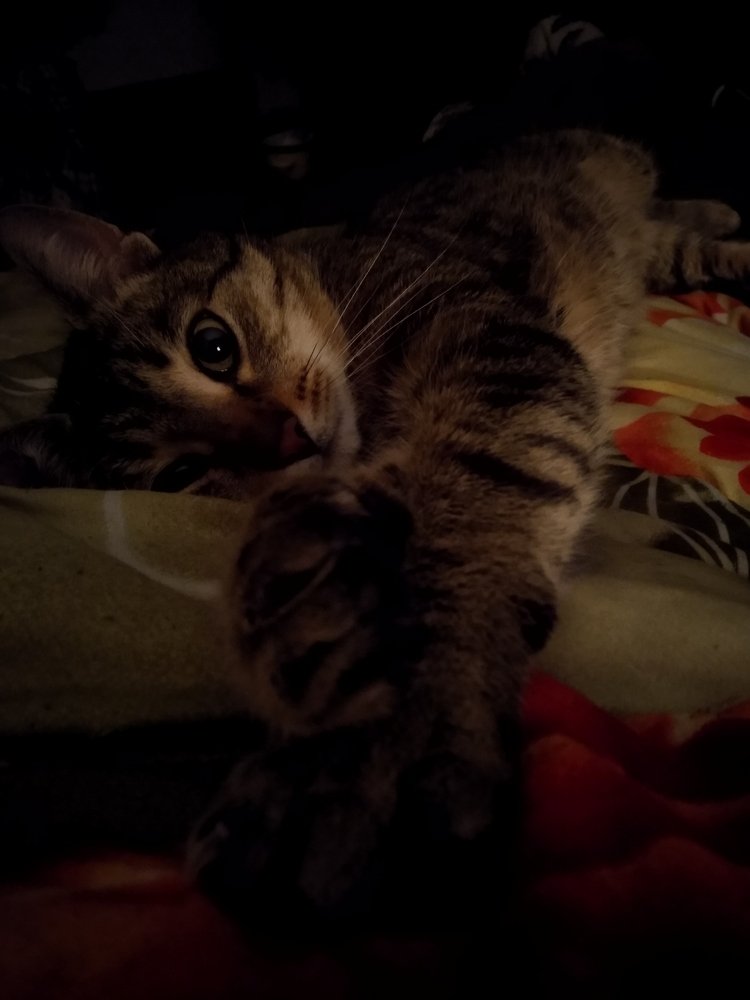 Полнолуние