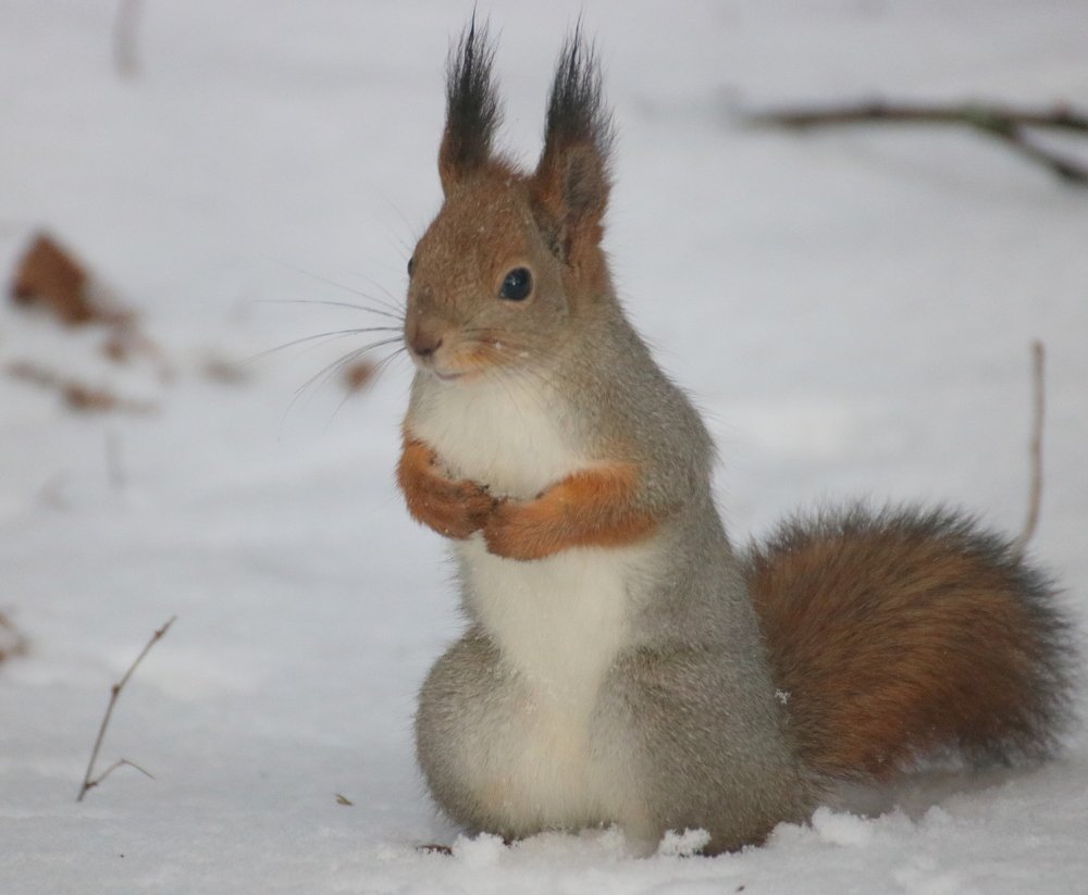 Photograph by Евгения Малафеева