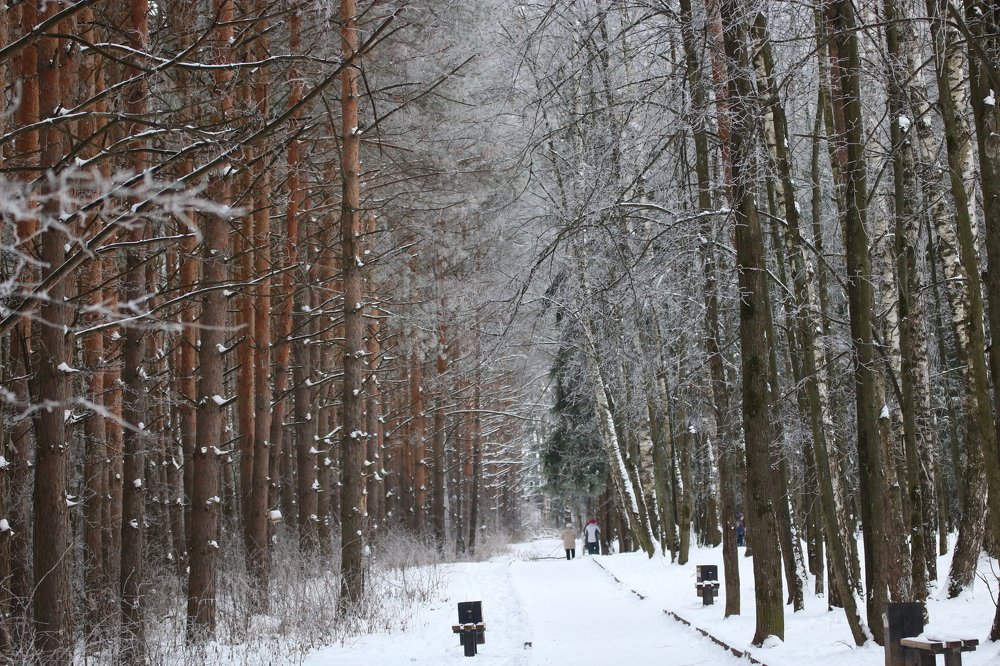 Photograph by Евгения Малафеева