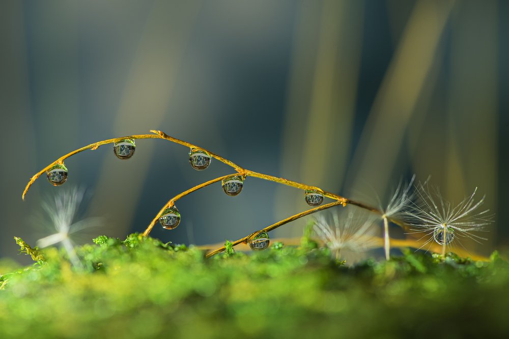 Photograph by Кунин Илья