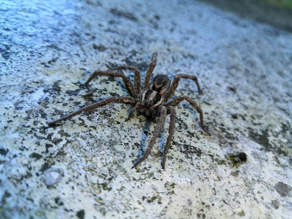 Photograph by Сергей