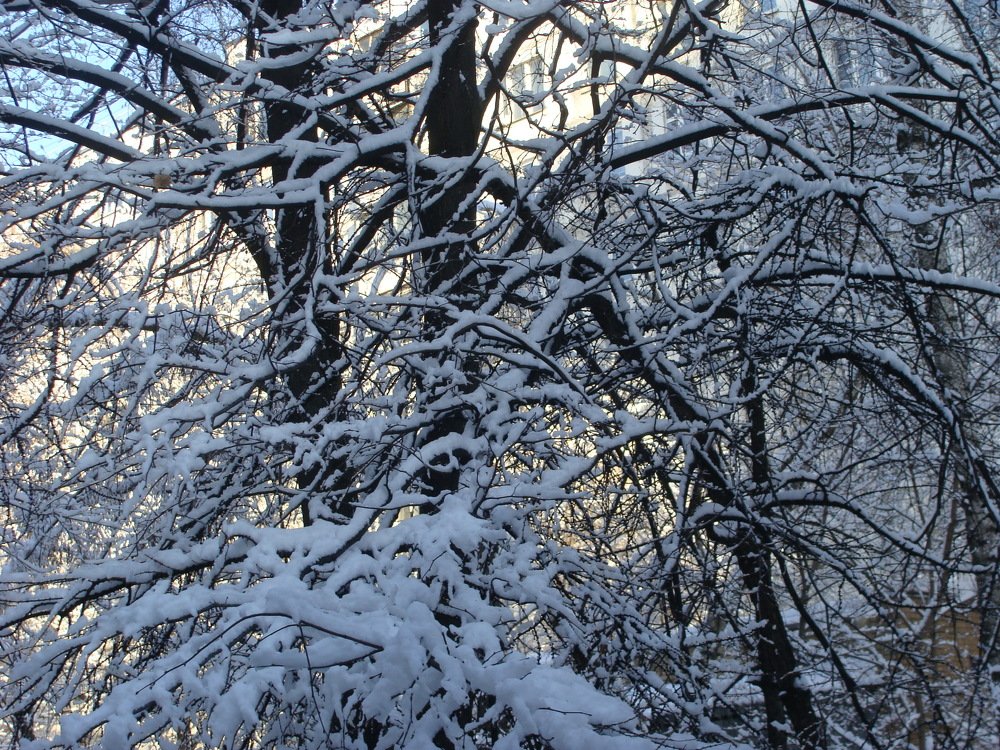 Photograph by Коростелев Александр