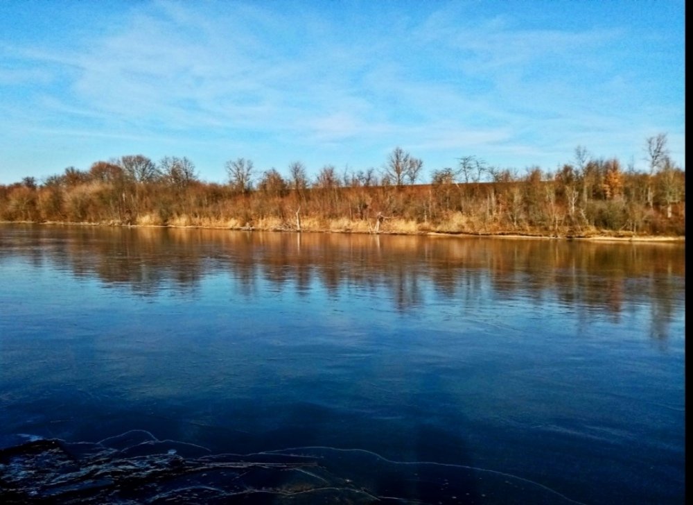 Photo #4282431