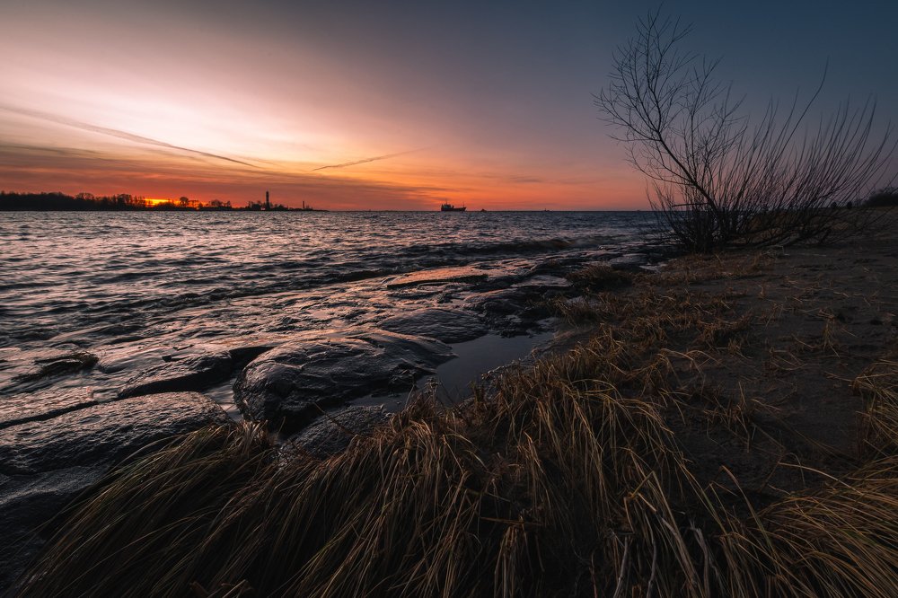 Photograph by Дмитрий Рябцев