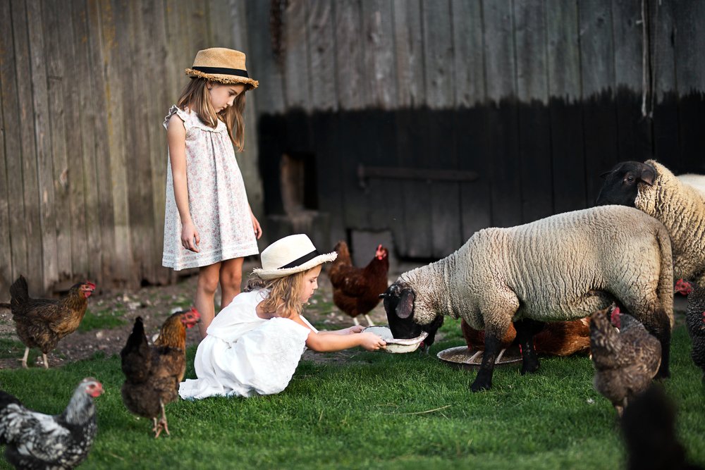 Фотография автора VAIDA MARTINKIENE