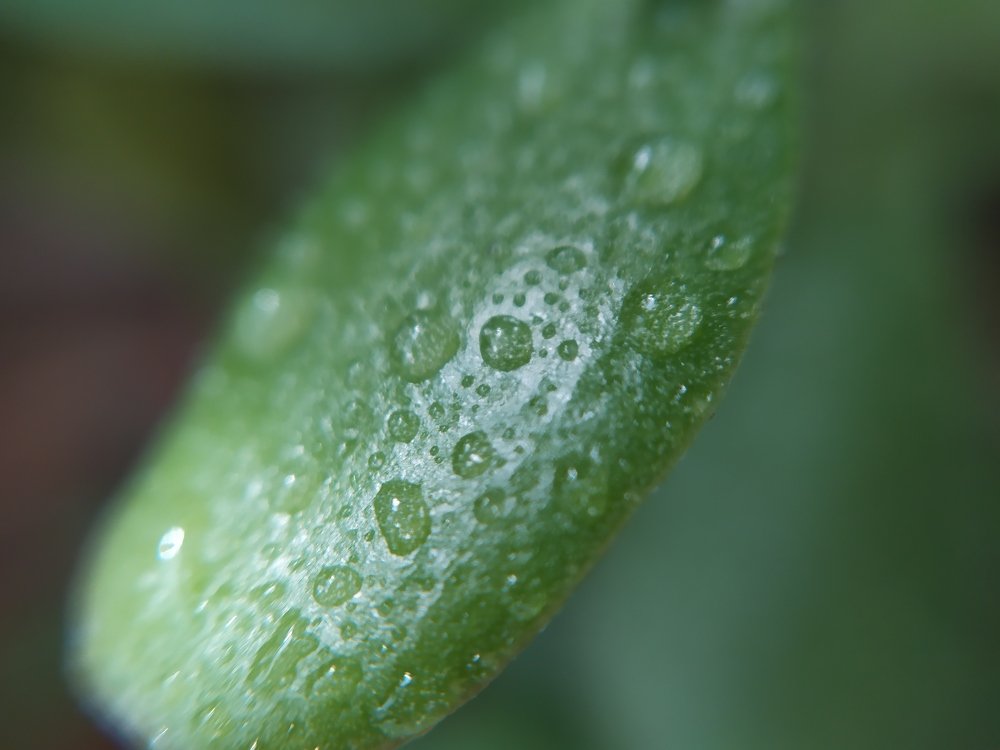 Photograph by Марина Евграфова