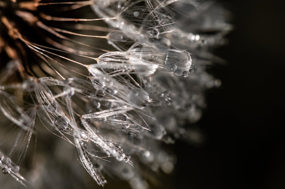 Хрустальные сферы