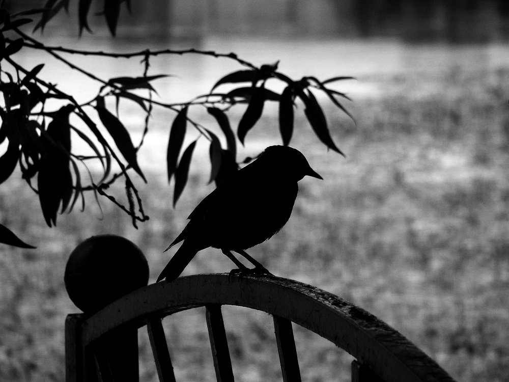 Фотография автора Владислава Андрюнина