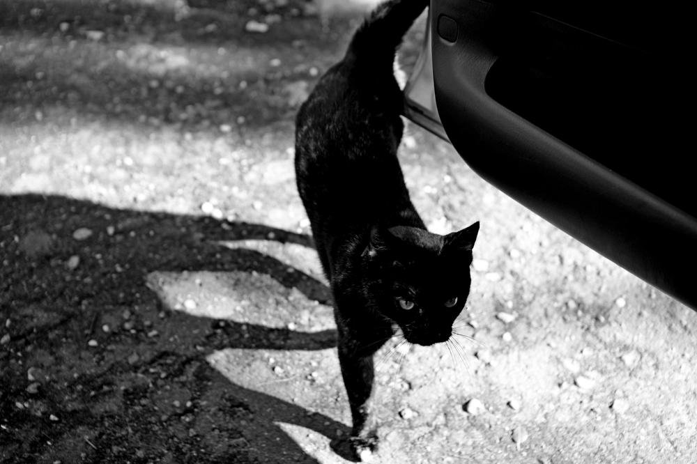 Photograph by Daina Burve