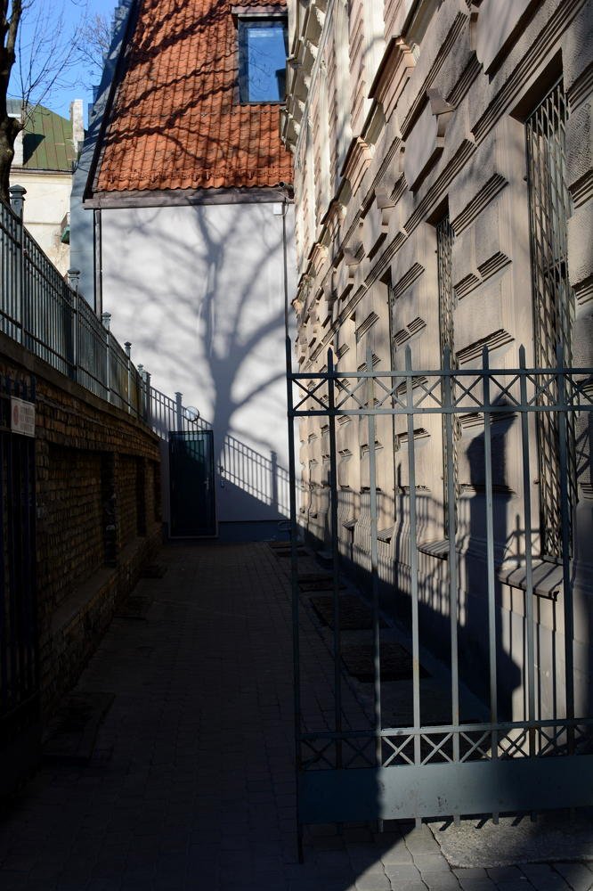 Photograph by Daina Burve