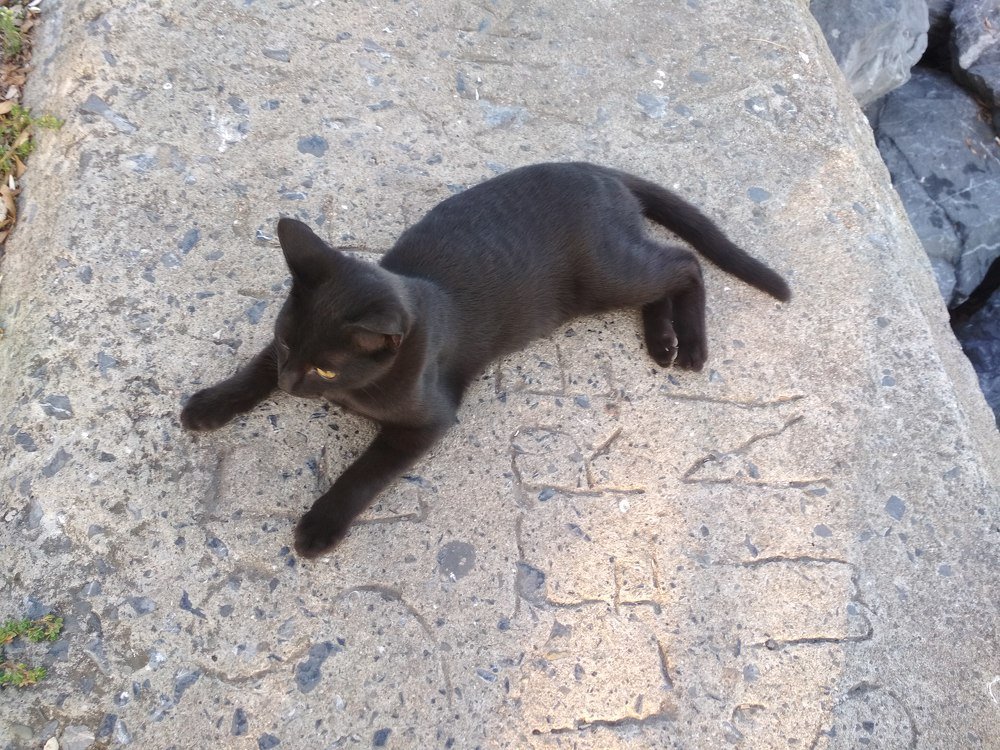 Photograph by Людмила Ковалевская