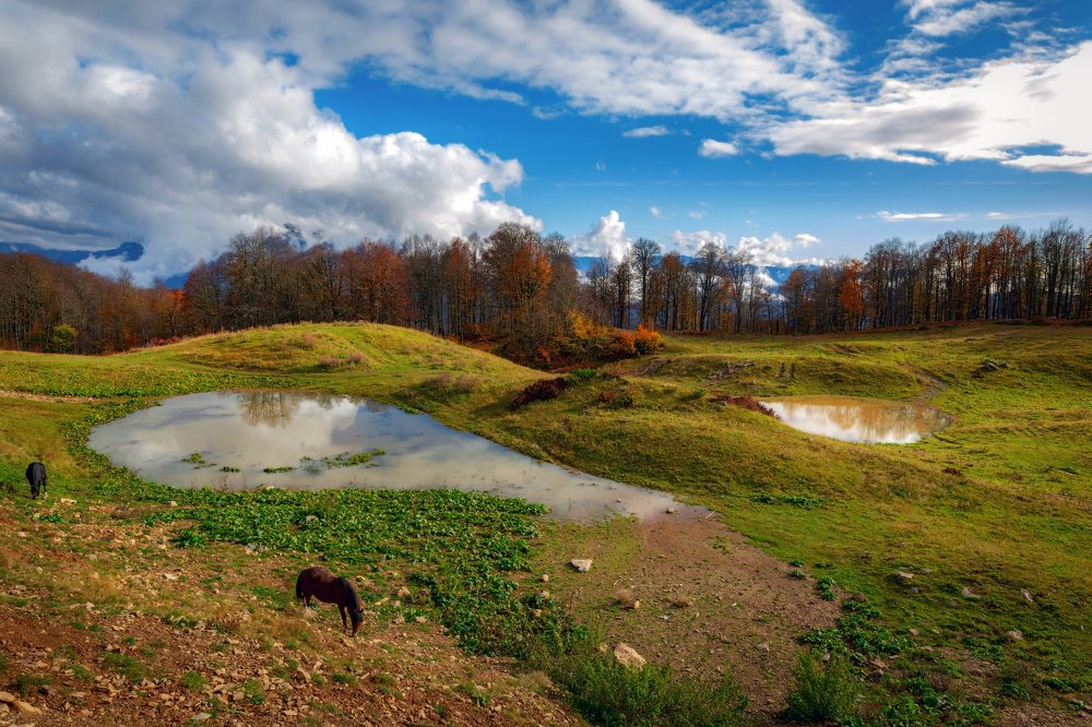 Photograph by Ольга Шацкая