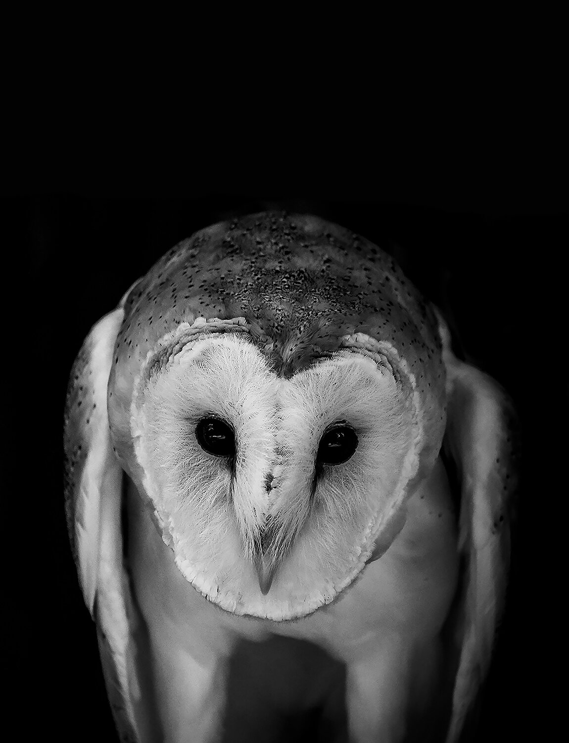 Archimedes