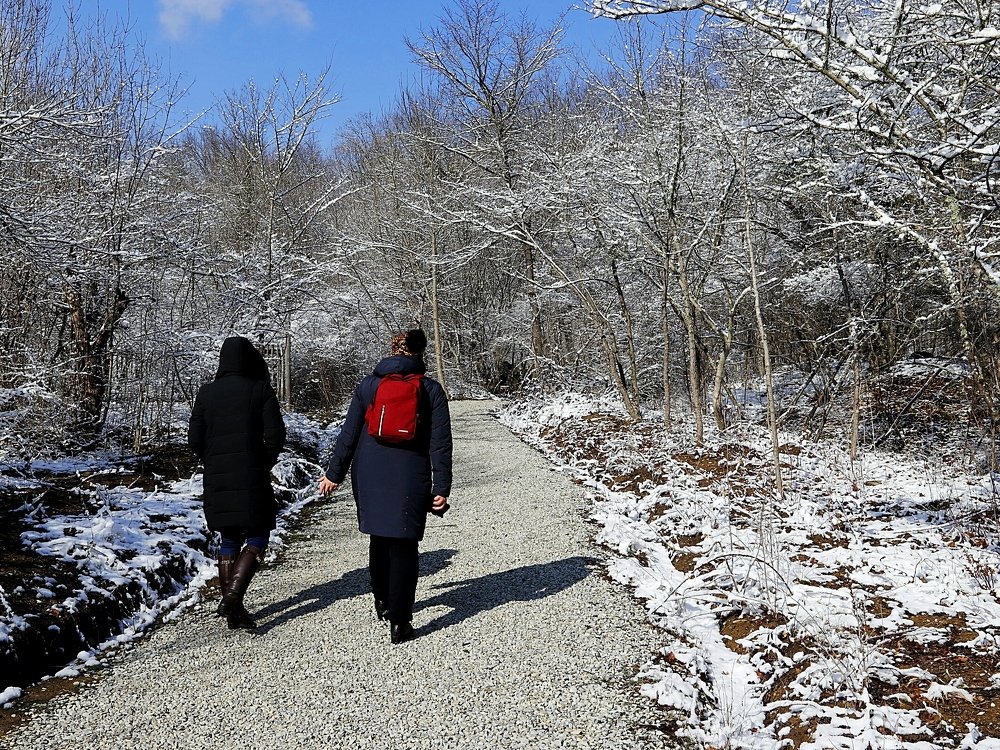 Photograph by Олег Башкуров