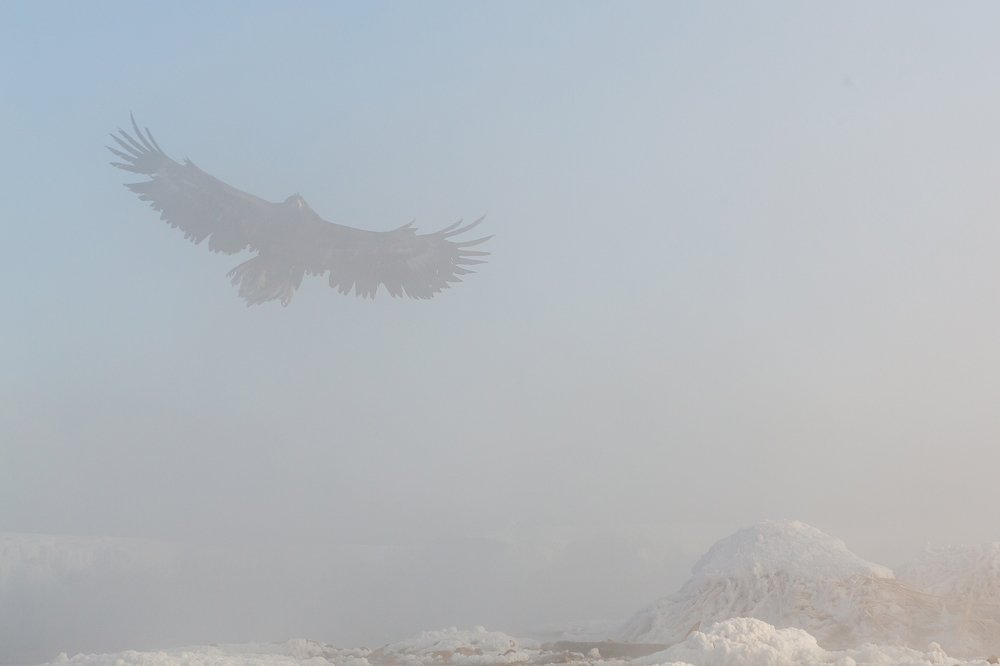 Photograph by Денис Будьков