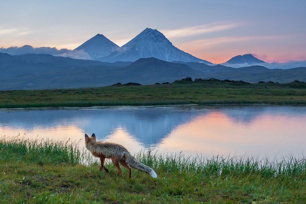 Photograph by Денис Будьков