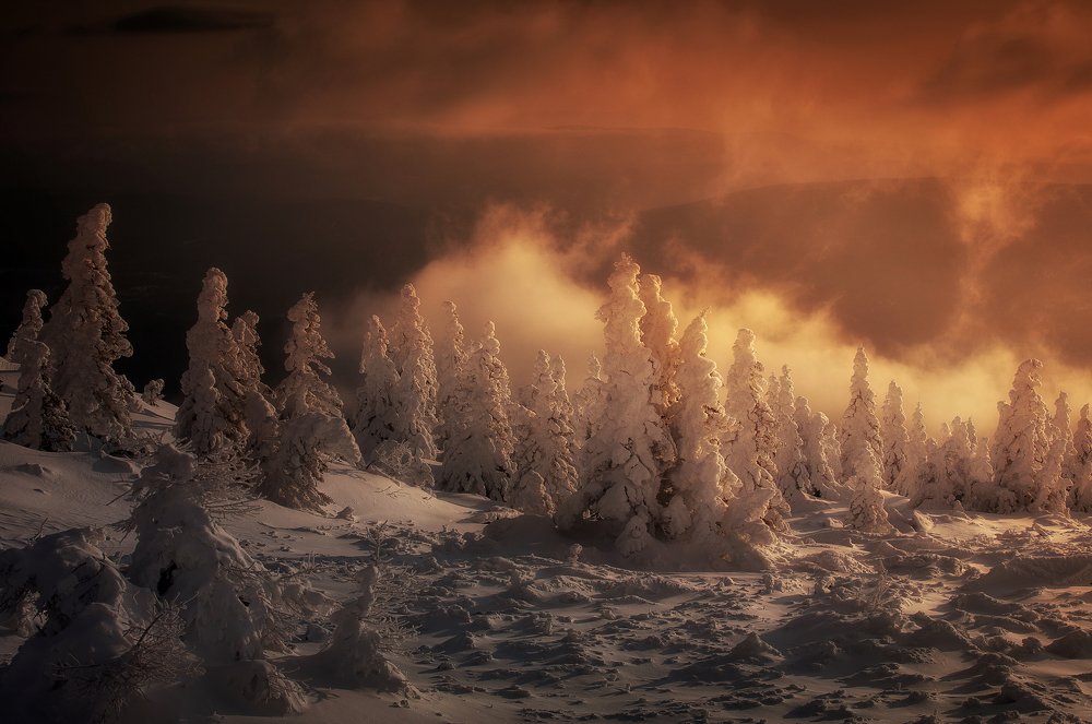 Photograph by Татьяна Бирюкова