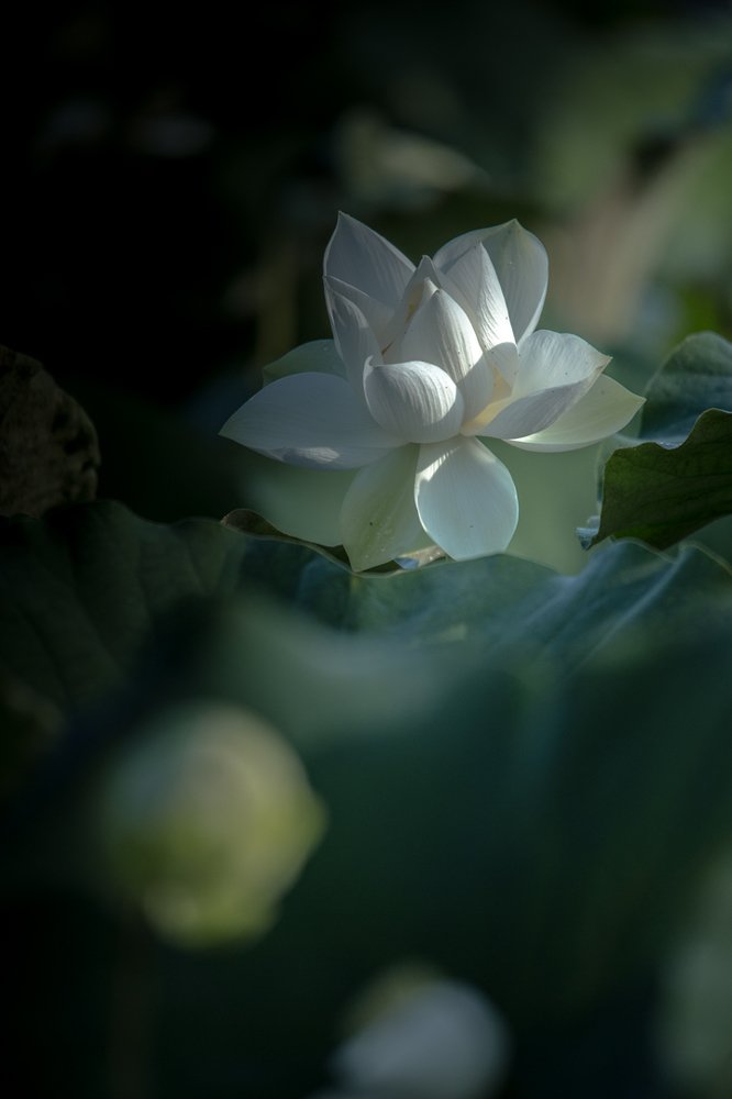 Photograph by AIEW CHEE MING