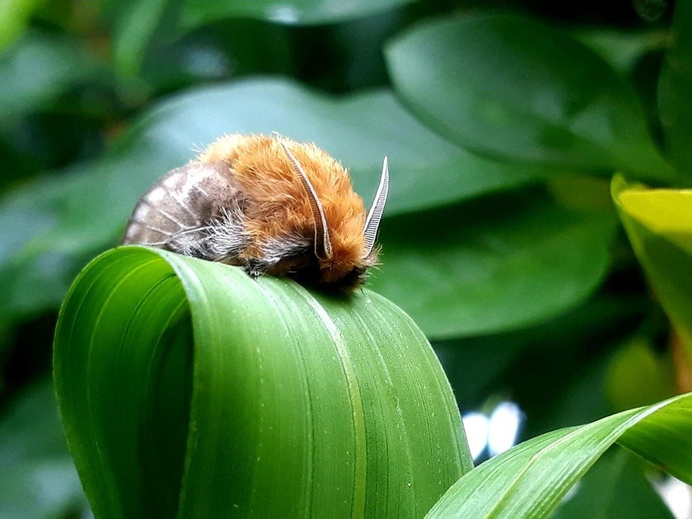 Photograph by Pablo Masuco