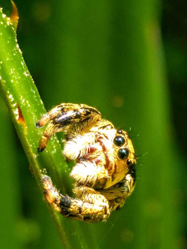 Photograph by Pablo Masuco