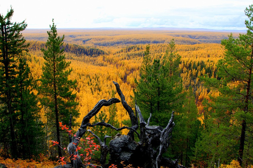 Photograph by Евгения