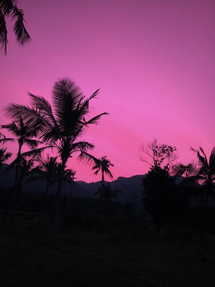 Photograph by Nethaji Nethaji