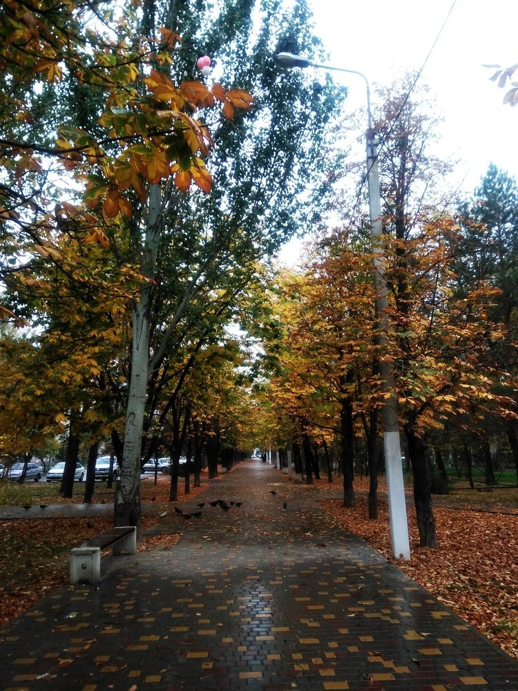 Photo #4283305