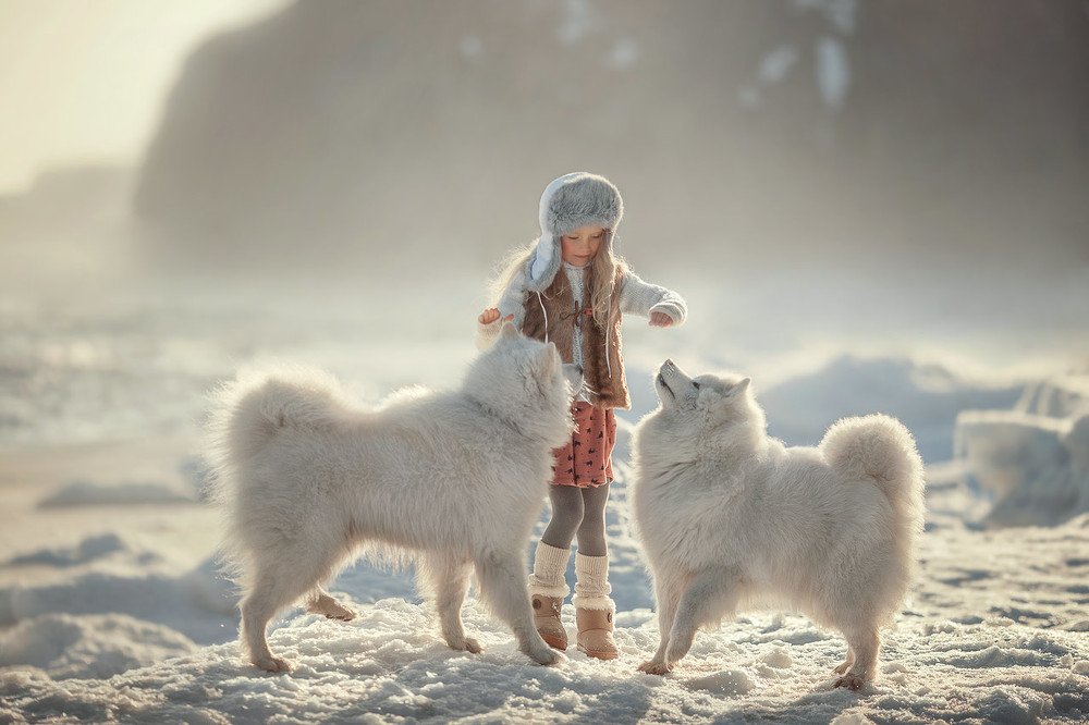 Photograph by Жилина Ирина