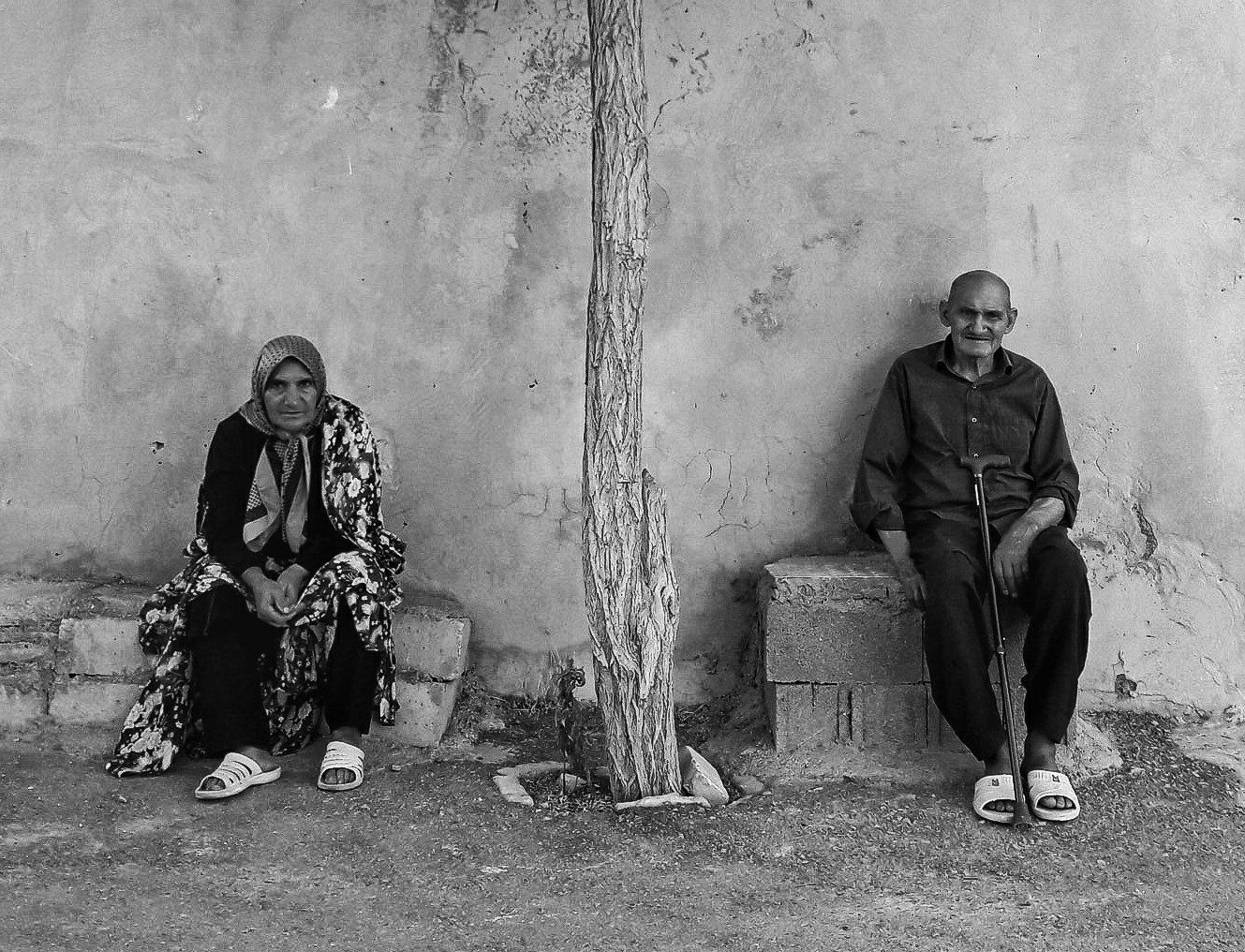Photo #4283349