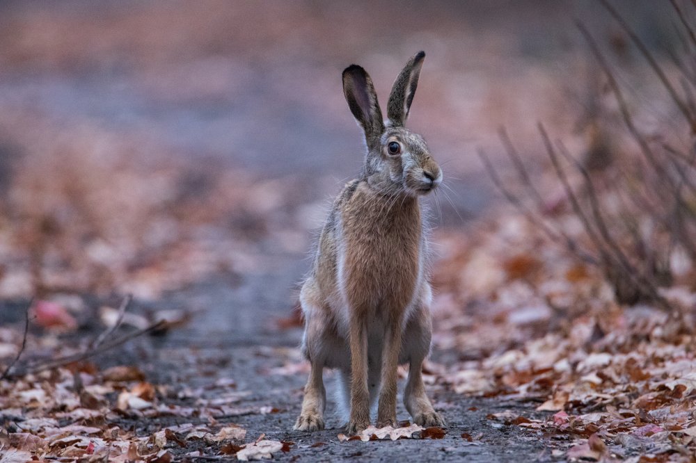 Photograph by Цветков Сергей