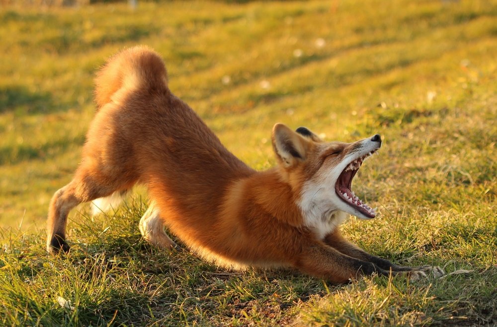 Время спать