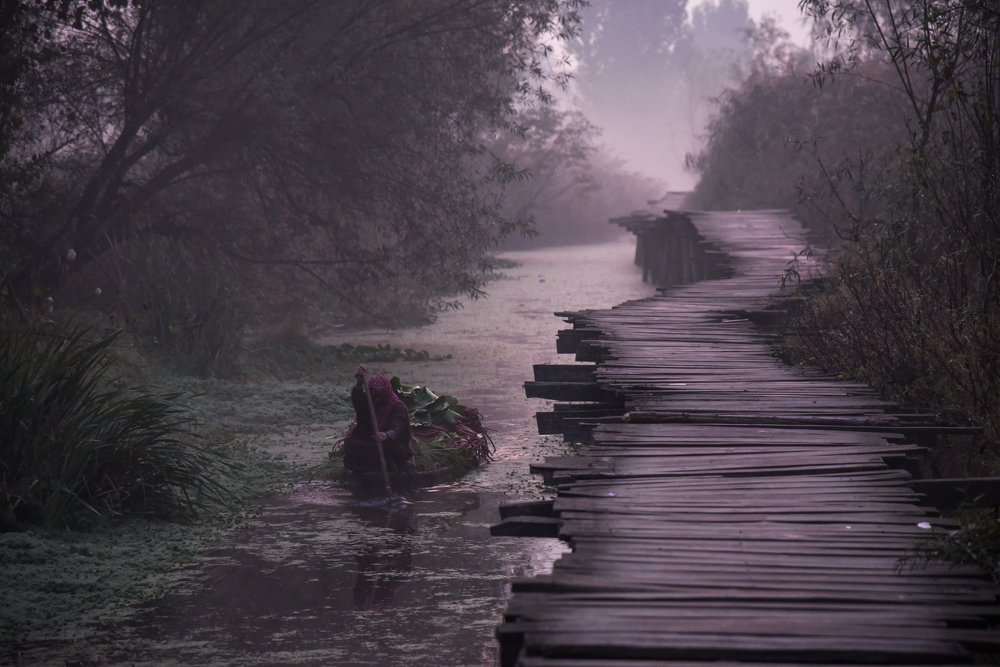 Woman of Kashmir making her living - Daily life in Kashmir.