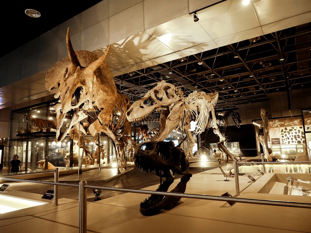 Photograph by Roman Ten