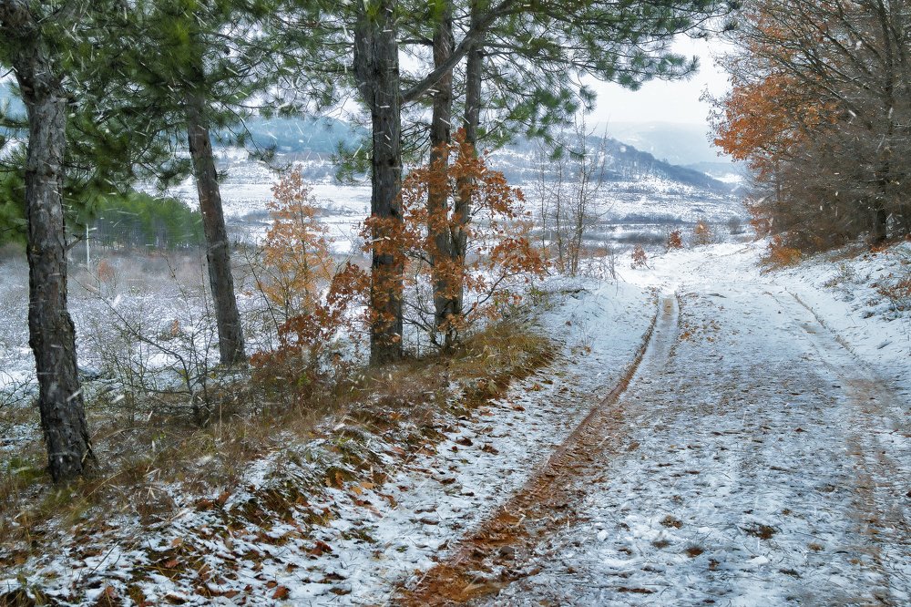 Photograph by YanaGG